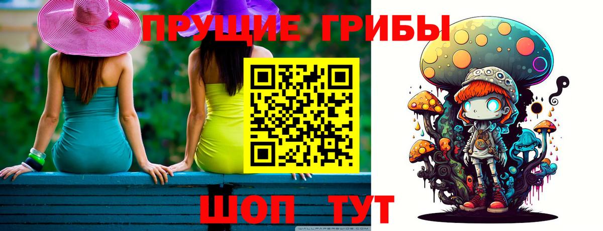 Псилоцибиновые грибы Psilocybe  Галлюциногенные грибы MAGIC MUSHROOMS  Котовск  Вход с VPN 